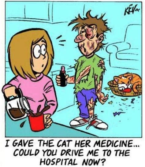 Pin By Lorrie Struiff On Ha Cat Jokes Sick Cat Cat Medicine