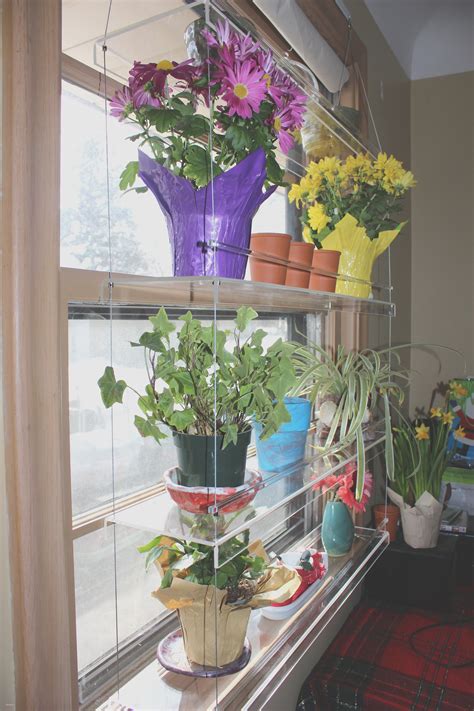 These indoor herb garden planters will look killer in your kitchen and keep your meals tasting fresh all year long. Indoor Window Planter Aloinfo aloinfo | Indoor window ...
