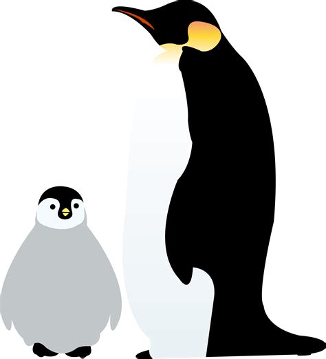 Emperor Penguin Antarctica Illustration Image - Emperor Penguin Chick Clipart - Png Download ...