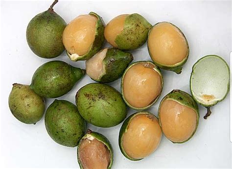 Where Can I Find Quenepas In The Boston Area Aka Spanish Limes