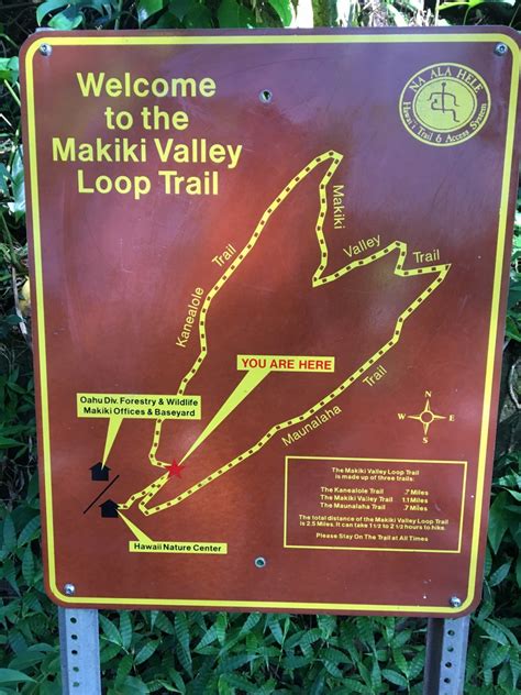 Makiki Valley Loop Trail マキキ・バレー・ループ・トレイル 自然・名所 のコラム｜allhawaiiオールハワイ