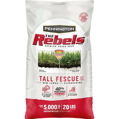 Pennington Rebels Tall Fescue Grass Seeds For Lawn For Sun To Medium