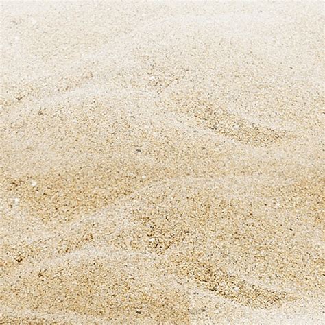沙子PNG图片素材下载 沙子PNG 熊猫办公