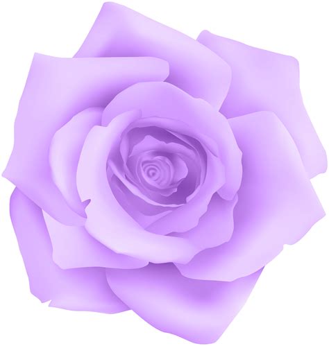 Clip Art Purple Roses 20 Free Cliparts Download Images On Clipground 2021