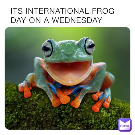Its International Frog Day On A Wednesday Cactusmaster Memes