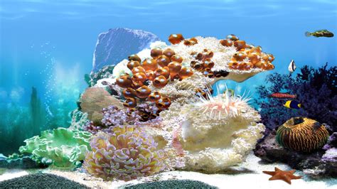 Download this app from microsoft store for windows 10. 3D Aquarium Wallpaper (52+ images)