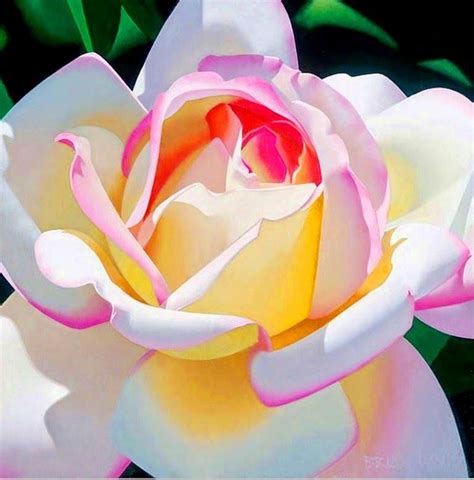Cuadros De Pinturas De Rosas En Arte Hiperrealista Porcelain Decor