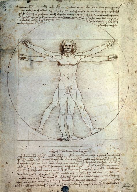 Italy To Lend Da Vincis Vitruvian Man To The Louvre For Blockbuster