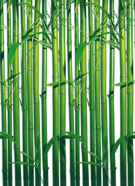 Bring The Simplicity Of Nature Inside With This Pretty Bamboo Wall