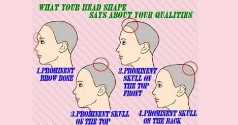 What Your Head Shape Says About Your Qualities Entertainment News