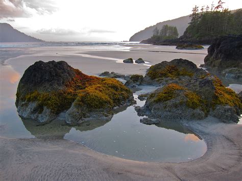 Hike In Camping At Cape Scott Bc Beautiful Vacation Spots Canada