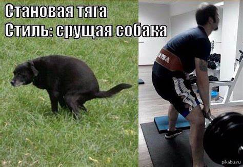 Диета шутки приколы