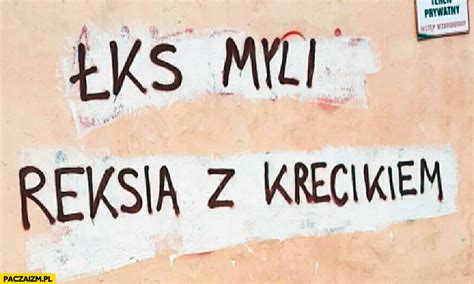 Zobacz najciekawsze publikacje na temat: ŁKS myli Reksia z Krecikiem napis na murze - Paczaizm.pl