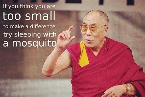 Dalai lama quotes will aid in giving you peace in life. If you think you are too small to make a difference, try sleeping with a mosquito.. #Dalailama ...