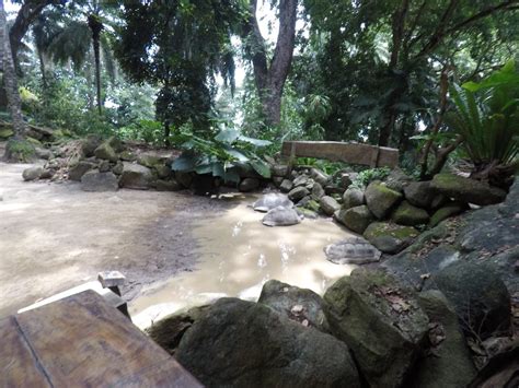 199x wurde das gebäude neu errichtet und sucht heute nach investoren mit attraktiven konzepten. Botanischer Garten in Victoria, Mahé - Seychellen ...