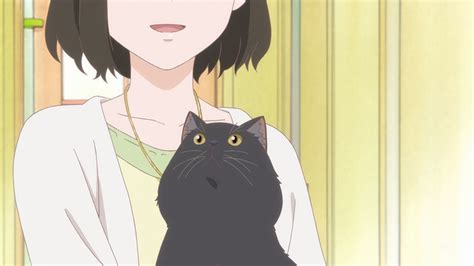 新海誠による短編「彼女と彼女の猫」がテレビアニメ化、キャストに花澤香菜ら 映画ナタリー