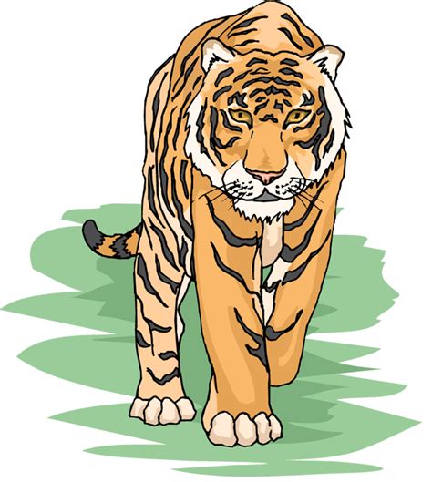 Transparent Background Tiger Clip Art Clip Art Library