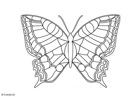 coloring page butterfly img