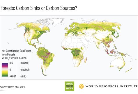 Nasa Satellites Help Quantify Forests Impacts On Global Carbon Budget