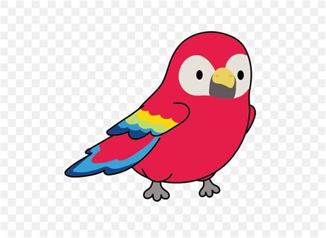 Bird Cartoon Parrot Beak Parakeet Png 600x600px Bird Beak Budgie