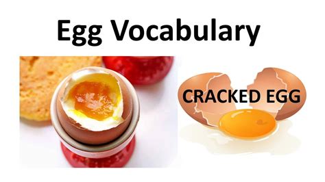 Vocabulary L Egg Vocabulary L Learn English L Strong Your Vocabulary L