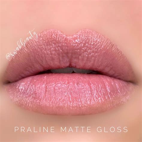 Satin Matte Nude Gloss Collection Swakbeauty Com