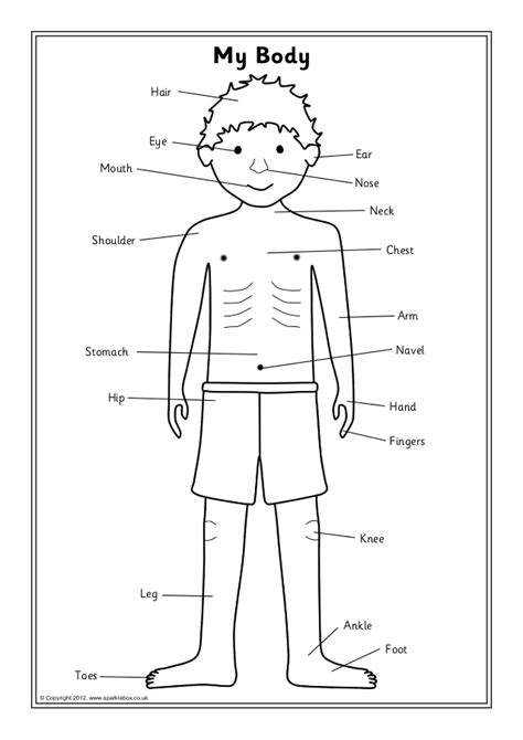 This educational video helps kids to learn about basic body movements and their words. Body labelling