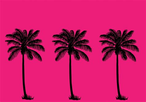 Palm Trees Summer Wallpaper Free Stock Photo Public Domain Pictures