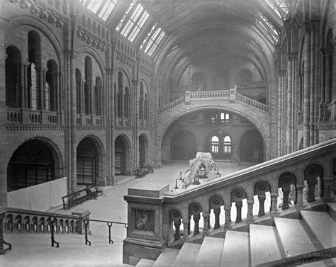 The Natural History Museum Central Hall Looking South Art Prints