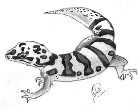 Leopard gecko cartoon leopard gecko drawing easy , free transparent clipart clipartkey. Leopard Gecko by TeaAndBicuits on DeviantArt