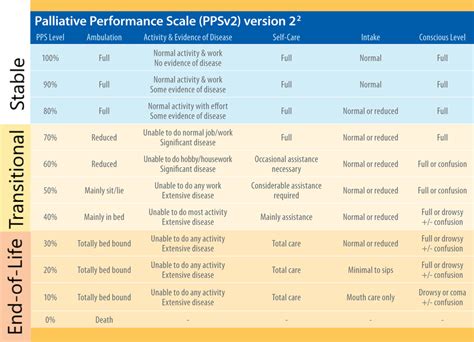 What Is The Palliative Performance Scale Part 2