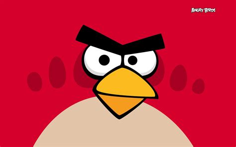Red Angry Birds Wallpaper 28211603 Fanpop