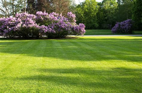 Give Your Lawn A Spring Wake Up Call Woodfield Outdoors