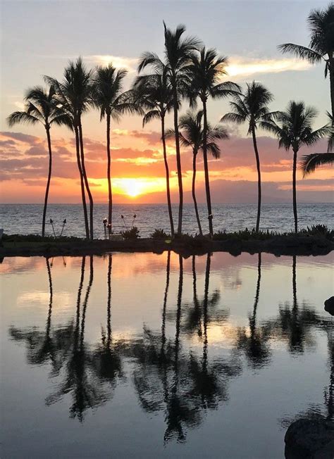Ocean Tropical Refection Palm Trees Hawaii Maui Hawaii Sunset