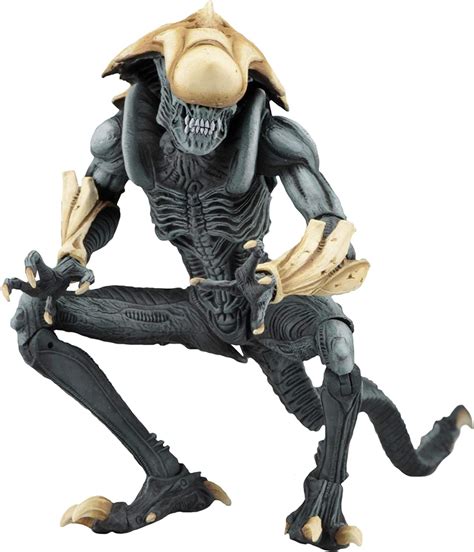 Chrysalis Xenomorph Alien Vs Predator Arcade Neca Action Figure Amazon Co Uk Kitchen Home