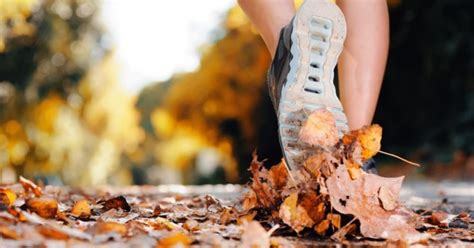 how to stay active during the fall even though you hate it fitneass