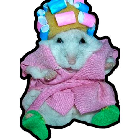 Hamster Meme Png Transparent Hamster Clipart Hamster
