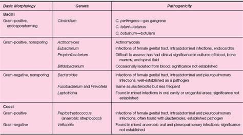 Classification Of Anaerobic Bacteria