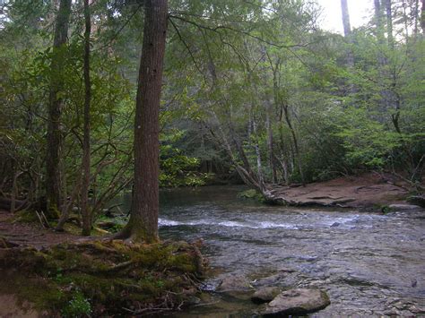 East prong / of the little river. Fishing - Smoky Mountain Golden Cabins