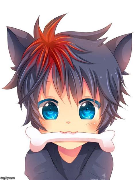 Custom Image Anime Cat Boy Chibi Boy Anime Chibi