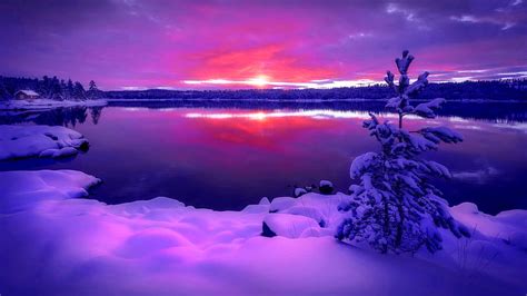 Winter Lake At Sunset Reflection Lake Winter Colorful Snow Sunset