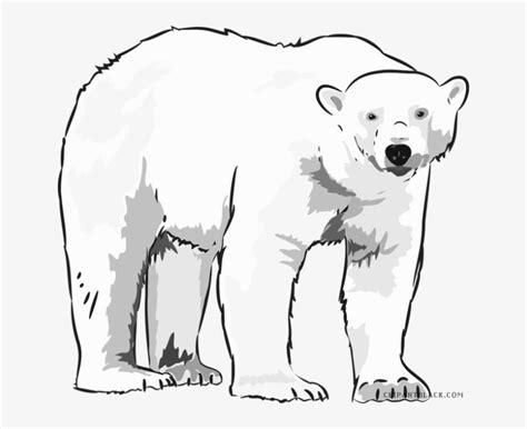 Polar Bear Clipart White Polar Bear Clipart PNG Image Transparent PNG Free Download On SeekPNG