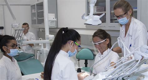 The Education To Dental Chairside Assistant University Of Copenhagen