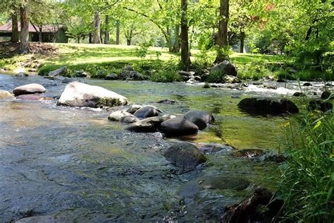 Top 4 Things Guests Love About Our Campground In The Smokies