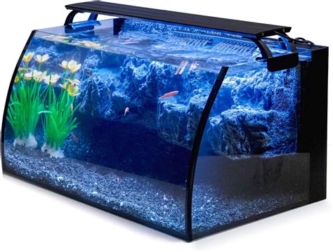 Best Nano Fish Tanks 2020 Get Aquarium Fish