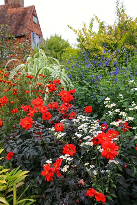 Check spelling or type a new query. 10 Easy Flowering Bulbs to Plant For Summer Colour - The ...