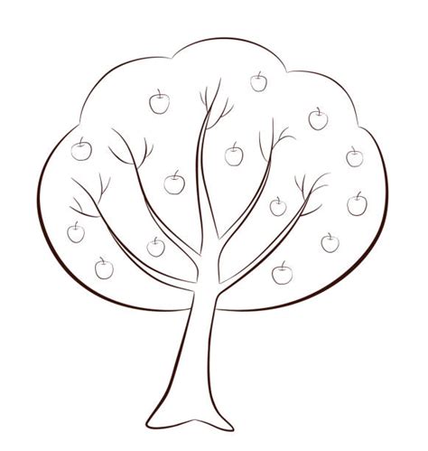 Apple portable network graphics logo vector graphics clip. Best Cartoon Of The Apple Tree Outline Illustrations ...