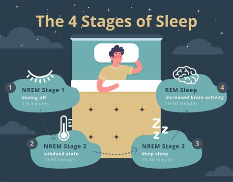 Different Stages Of Sleep Cycle