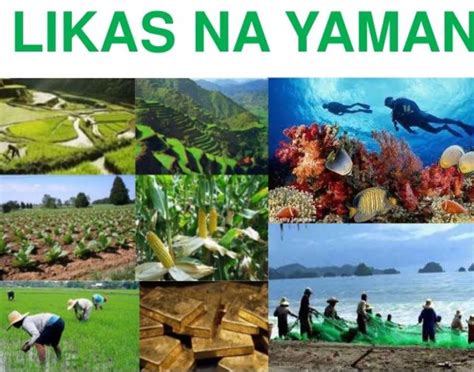 Likas Na Yaman Ng Bansang Pilipinas Komagata Maru 100