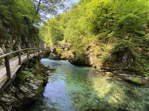 Vintgar Gorge Ou Gorge Sangrado Slovenia Triglav National Park Vintgar
